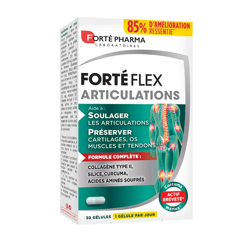 Forté Flex Articulations - Image 2