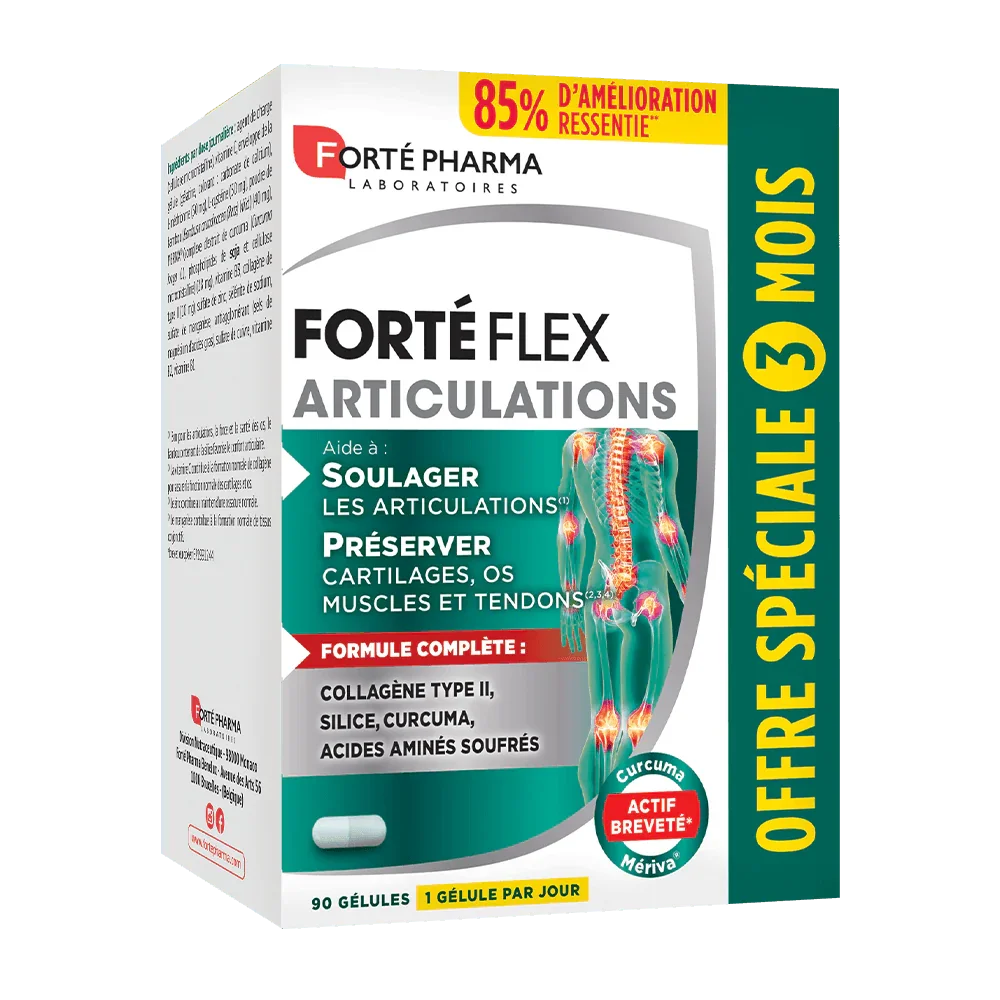 Forté Flex Articulations - Image 3