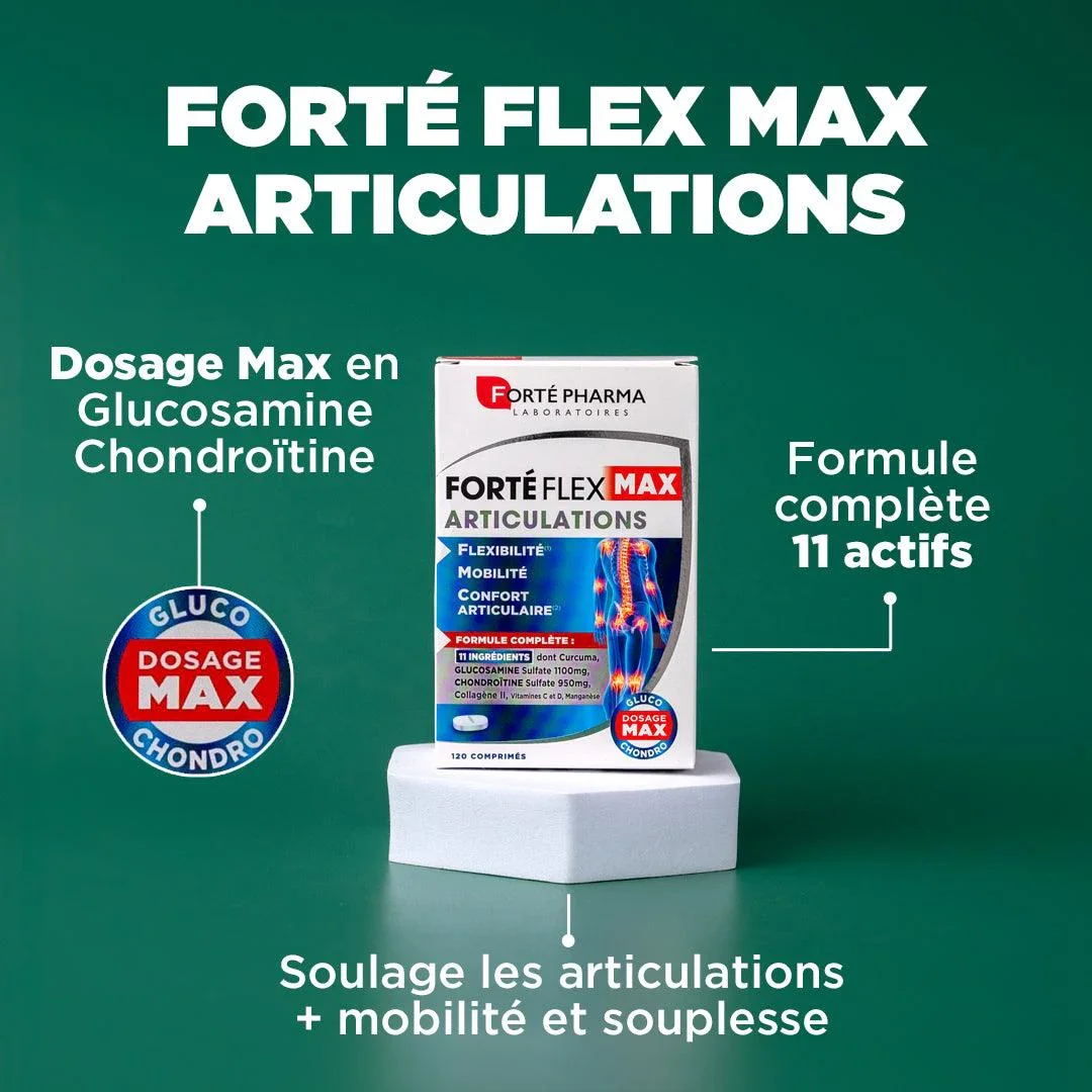 Forté Flex Max Articulations - Image 4